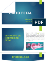 Óbito Fetal Ginecologia