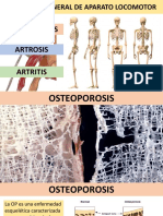 Patología Aparato Locomotor