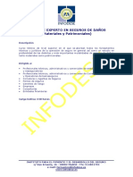 EXPERTO en SEGUROS de DAÑOS Materiales y Patrimoniales. Programa y Características