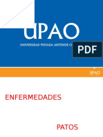 Enfermedades en Patos