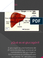 Glucagon y Adrenalina