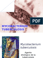 MYCOBACTERIUM 