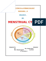 Menstrual Cycle