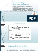 Metabolismo Del Nitrogeno y Ciclo de La Urea