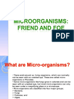 Microorganisms Friend and Foe