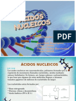 Acidos Nucleicos