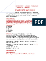 Examen Resuelto Del Senescytt 2015