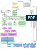 Depression Care Pathway