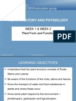 Plant Structure and Growth