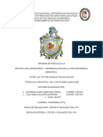 Informe 1 Hidraulica 2