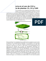 Eficiencia en El Uso de CO2 y Morfología de Plantas C3