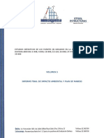 Informe de Impacto Ambiental Puentes