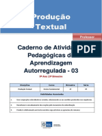 Producao Textual Regular Professor Autoregulada 9a 3b