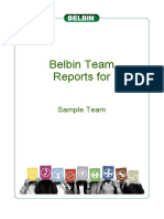 Belbin Team Reports For