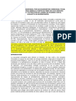 Producción de Bioetanol Por Saccharomyces Cerevisiae