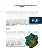 Efecto Del PH y Temperatura Sobre La Act