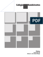 Física - Fascículo 04 - Choques, Lançamentos, Gravitação