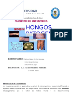 Hongos Patogenos