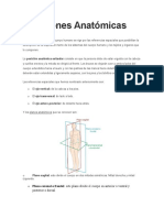 Posiciones Anatomicas