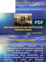 Hortalizas Fermentadas