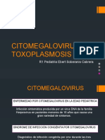 Citomegalovirus