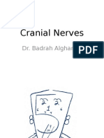 Cranial Nerves