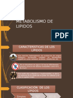 Metabolismo Lipidos