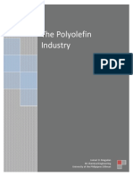 The Polyolefin Industry