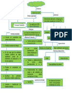 Mapa Conceptual PPC