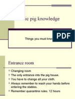 Basic Pig Knowledge