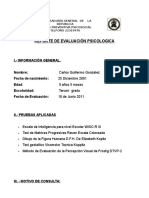 Informe Modelo para Wis-4