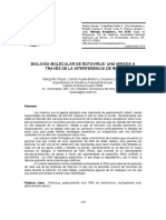 Ciclo Replicativo Del Rotavirus PDF