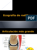 Ecografía de Rodilla