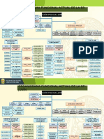 Organigrama Funcional Actual de La Rp-Junín