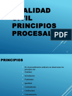 Principios Del Juicio Oral Civil