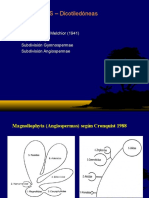 Angiospermas - Generalidades