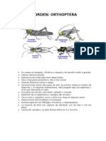 Apuntes Entomologia