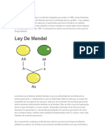 Leyes de Mendel Estructura Adn