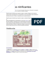 Bacterias Nitrificantes