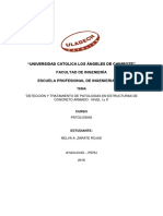 Informe de Patologia de Vivienda 1 y 2 Etapa