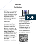 Blob Detection Final Version PDF