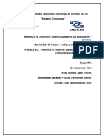 Practica Integradora Informe