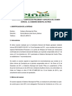 1 Formato Planificacion Preliminar y Especifica Piñas