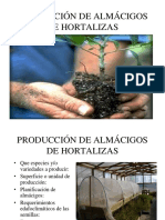 Clase Propagación de Plantines para Invernaderos