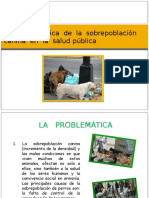 Contaminacion Canina