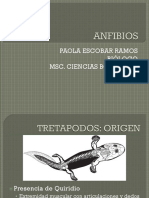 Anfibios