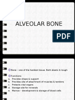 Alveolar Bone