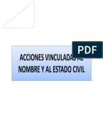 Acciones Vinculadas Al Nombre o Al Estado Civil PDF