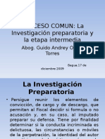 Proceso Comun Investigacion Preparatoria y Etapa Intermedia