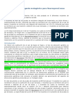 Artículo - Hidroxilamina Como Agente Mutagénico para Neurospora Crassa Con Corr